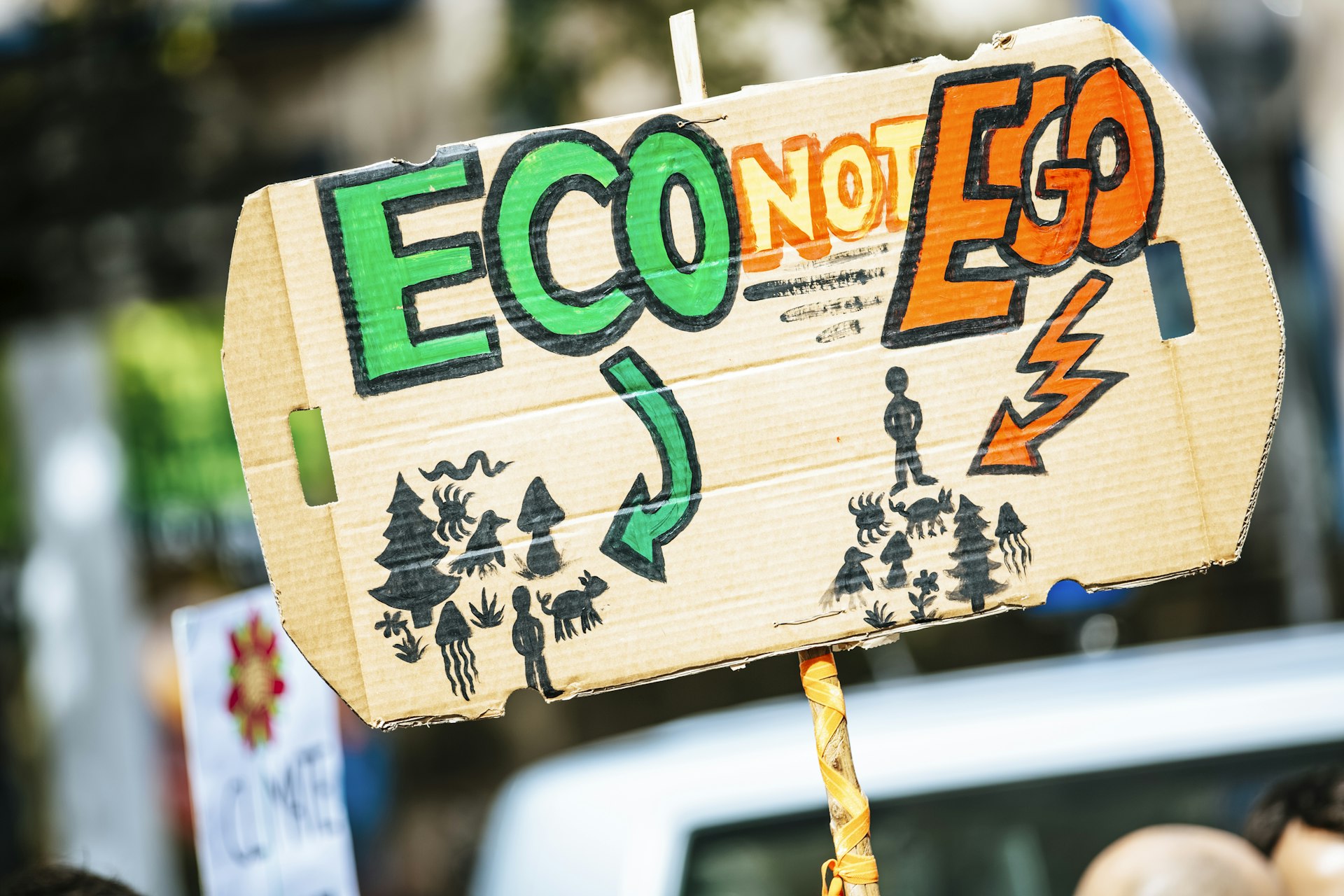 Close-up of eco-friendly material details